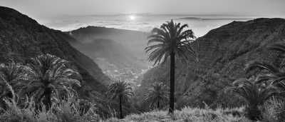 Spain - Gran Canaria - Coworking/Coliving 🧑‍💻🏝 - Bett im Shared Room (2P) - JoinMyTrip