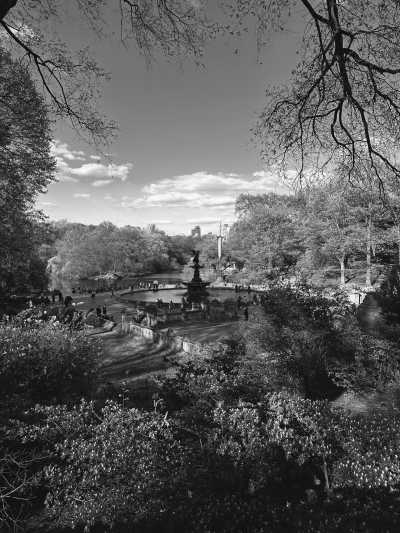 Vereinigte Staaten - Central Park - New Year - New York City! Celebrate and explore with a small group - 2