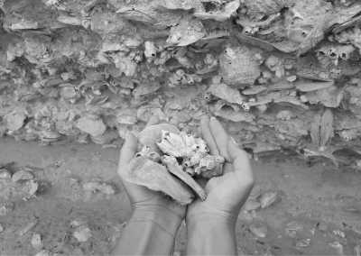 Zypern - Mitsero - A Cyprus Adventure with Locals: Natural History and Unforgettable Views - 1