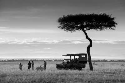 Kenia - 🌍 Wild Wonders of Kenya | All-Inclusive Raw Nature Jeep Safari 🐘🦁🌅 - JoinMyTrip