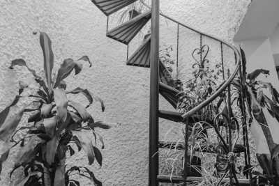 Colombia - Laureles - Coworking and Coliving: Work, Explore and Connect with Creatives in Medellin, Colombia. - 10