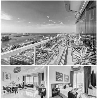 United Arab Emirates - Dubai - Exploring the pure lifestyle in Dubai 🇦🇪 - 10