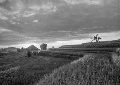 Indonesia - CIBEO BADUY DALAM - Reconnect with Nature and Traditional Life of Living in Baduy, Indonesia - 1