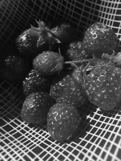 Canada - UBC Farm - Indigenous Learning in Western Canada - 10