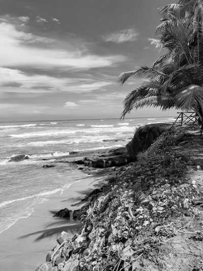 Ghana - Senya Beraku Beach - Refresh your mind and body with Yoga and Nature - Cocoa Farm visit and Waves in Ghana! - 1