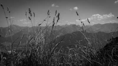 Deutschland - Fellhorn - A Magical Experience | Walkshop | Allgäu | Fellhorn Ridge | German Alps | 4 days - 13