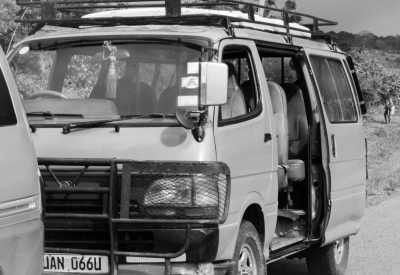 Eastern Africa - Bwindi National Park - Explore the Best of Uganda Safari in 18 Days