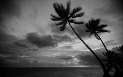 Dominikanische Republik - Grand Bávaro Princess - Explore dominican republic Hidden Gem: Punta cana