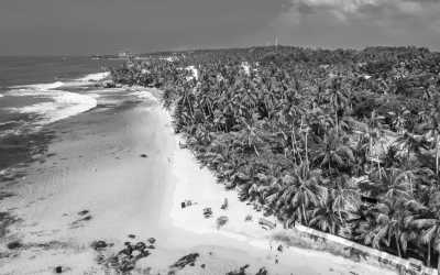 Sri Lanka - 17-Days CoWorking Adventure in SRI LANKA: Beach I Safari I Surf I Pool & BBQ - JoinMyTrip