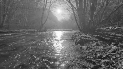 Belgium - Maboge - Explore Belgian Ardennes: Hike, Survive, and Reflect in Maboge - 5