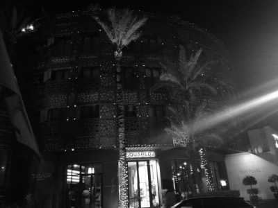 Marokko - Jardin Majorelle-Yves Saint Laurent Mansion - Coworking and Coliving in Marrakech, Morocco | Luxury Villa (Private Room) - 7