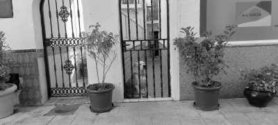 Spain - Mijas - Co-Working Space in Marbella, Spain 💻  Home Office in a Villa with Pool - 2