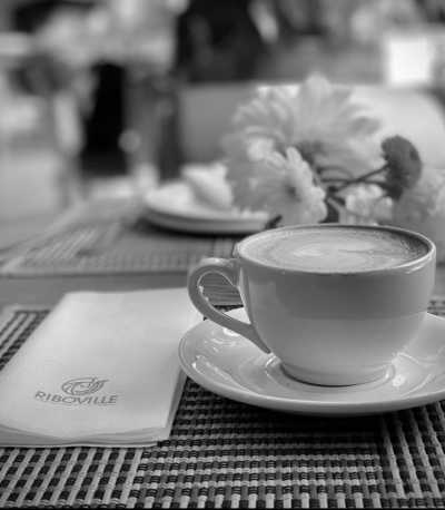 South Africa - Riboville Boutique Hotel and Restaurant - Explore Johannesburg, South Africa - Art, Hike 🥾 Skydive 🪂 Food 🍲 - 5