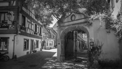 France - Kaysersberg-Vignoble - A Magical Experience | Alsace, France | Walkshop Light | 4 Days | 4 Lakes Tour - trip to Lac Blanc, Lac Noir & more - 8