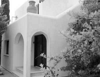 Cyprus - Paphos - Co-working Adventure in Magical Cyprus! Big Villa, private pool and garden! - 3