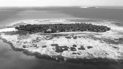 Tanzania - Mnemba Island - 🚗 Road Trip and Holiday Escapade In Zanzibar, Tanzania (Nungwi, kendwa and Stone Town)