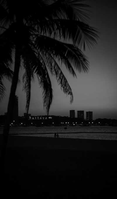 Thailand - Pattaya City - Discover Pattaya Like a Local: Join Our Exclusive Co-Hosted Adventure! - 4