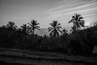 Indonesia - Munduk - Travel to Bali, Indonesia - Waterfalls, Beaches, Mountains and More!