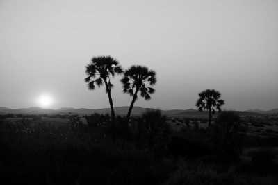 Namibia - Palmwag - Das Abenteuer Namibia ruft - 3 wöchiger Roadtrip mit Allrad & Dachzelt zur einmaligen Natur- und Tierwelt