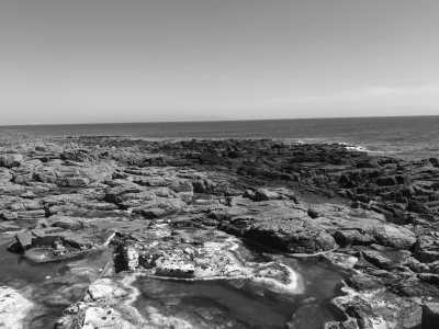 Vereinigtes Königreich - Rathlin Island - Northern Ireland's Ultimate Adventure: 2-Day Trip of Giant’s Causeway & Rathlin Island - 4