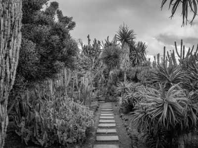 Portugal - Funchal - Madeira 360° 🇵🇹 Roadtrip in the European’s Hawaii staying in an ocean villa and swim with the dolphins in Portugal 🐬 - 4