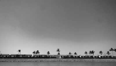 Saudi Arabia - Jeddah - Visit Saudi Arabia with a local 🏜️ Explore Arabian Nights ✨ - camel rides, dune buggies & more - 2