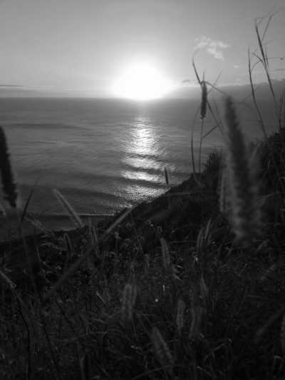 Portugal - Ponta do Pargo - Madeira  SPECIAL ADVENTURE - off the beaten path with a local Adventurer: João_lets_hike! - 3