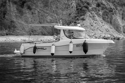 Montenegro - Budva - Montenegro Sea Life Adventures with a Local - Freediving, Boat trip, BBQ, Hidden Gems - 3