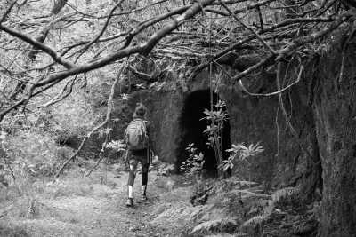 Portugal - Fanal Forestry Station - Coworkation, Coliving and Adventurous Hiking Trip with a Knowledgeable expat on the dream island of Madeira (Single rooms) - 7