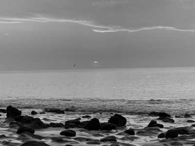 Spain - Puerto del Rosario - WILD ONLY GIRLS SURF Trip to FUERTEVENTURA: Avventura e Connessioni fra Donne! - 2