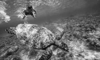 Indonesia - Gili Trawangan - Lombok, Indonesia 3 Gili Islands Excursions, Cheers and Relaxing ☀️ - 6