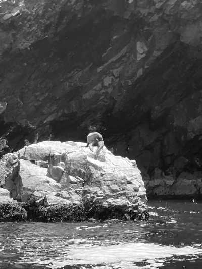 Peru - Paracas - Have Some Fun in Lima and Ica, Peru - 3