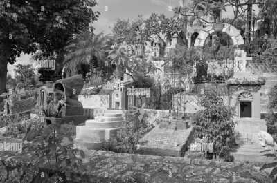 Mexiko - Playa del Carmen - Mexico's Pacific & Atlantic Coast all in one trip - Puerto Escondido & Playa del Carmen (*FOR ANIKA ONLY*) 🇲🇽🏖🌊🌮 - 10