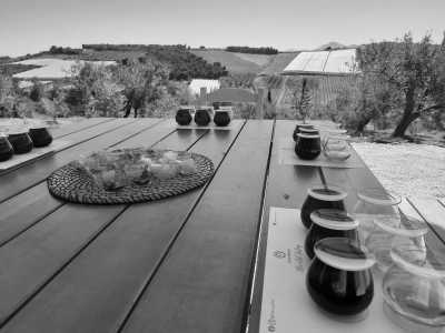 Greece - Agioi Theodoroi - Food and Wine Lovers Getaway in Mainland Greece: Savoring Authentic Greek Cuisine and Great Wines - 2