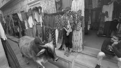 India - Jaisalmer - Experience Diwali: A Festival of Colors and Maharajas! - 3