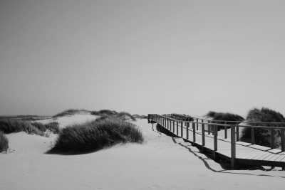 Portugal - Esmoriz - Work and Relax by the Atlantic Ocean Dunes near Porto! - 7