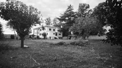 Portugal - Quatro Anas - Rural Farm - Yoga, meditation and coworking trip in Portugal - relax and recharge - 1