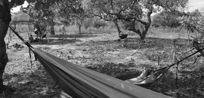 Gambia, The - Buniadu - Abenteuerreise nach Paradise Island in Afrika - Gambia (Guided Trip) 😊 - 3