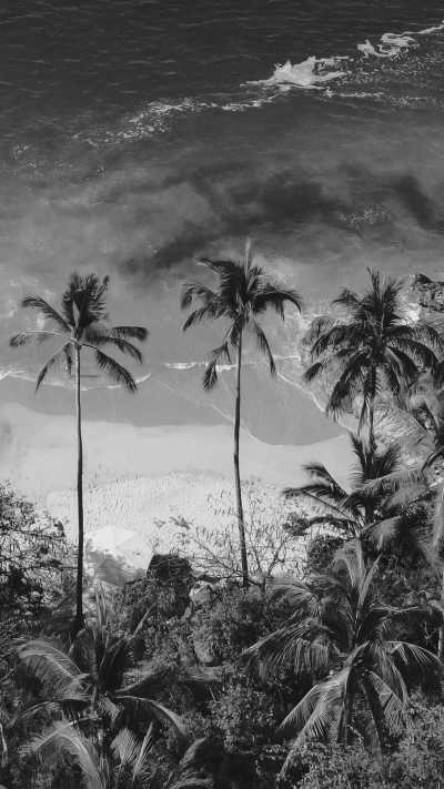 Mexico - Colomitos Beach - The Best of Puerto Vallarta, Mexico in 7 Days 🏝️ - 2