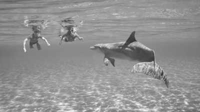 Ägypten - Hurghada dolphin house - New Year in Egypt with a Local at the beach in Hurghada 🏖 𓅓𓏲𓅓𓅓𓏭𓋴,   𓉔𓏲𓂋𓎼𓉔𓄿𓂧𓄿 🇪🇬.