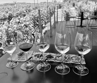 Greece - Ktima Gerovassiliou - Beauty of Greece! 🇬🇷💙🤍 - 2