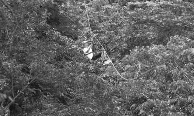 Thailand - Hanuman World - Rare‼️ Epic Thailand 15-Days Explorer😍🔥: Helicopter Tour✈️, Zip Line Fun, Elephant Adventures and many more! ❣️🎉 - 2