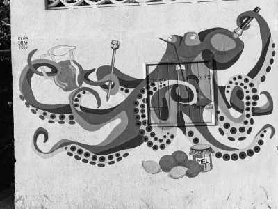 Portugal - Funchal - Madeira Magic - Explore the Island with a Local - 2