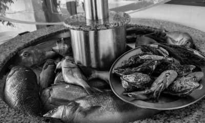 Malta - Malta - Malta: Private sailing yacht, Quad bike Gozo island, Enjoy a relaxing week in the Med! - 3