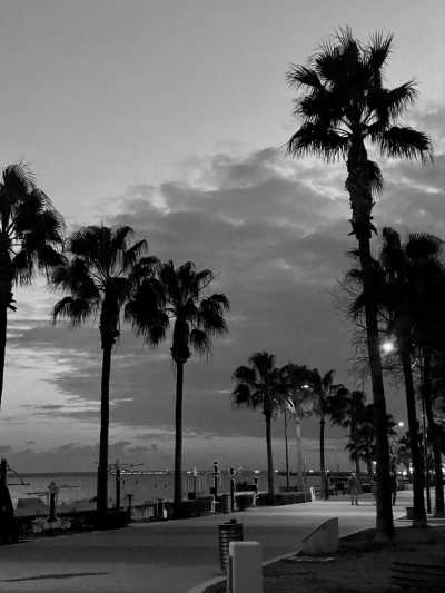 Cyprus - Limassol - Exploring Cyprus in 4 Days: Sunset Cruise, Fireworks, Live Shows, Cheese-Making Workshop, and Water Activities - 4