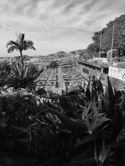 Portugal - Madeira Botanical Garden - Surf & Hike in beautiful island of Madeira, Portugal - 2