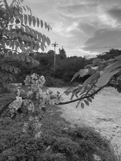 Thailand - Chiang Mai - Adventure trip to the most beautiful parts of Northern Thailand - I will show you the underrated north side of this nature paradise 🗺🚣🏽🦋🌞🐛🚞🌻🪨🌳🌺🌄 - 9