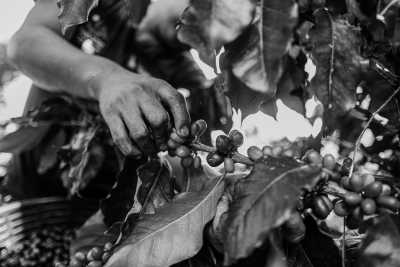 Guatemala - Antigua Guatemala - All Inclusive! The Ultimate Trip to Guatemala 🇬🇹 - Turquoise Jungle Springs, Hike on active Volcano, Coffee Tour and Villa at a Beautiful Lake, Surrounded by Volcanos