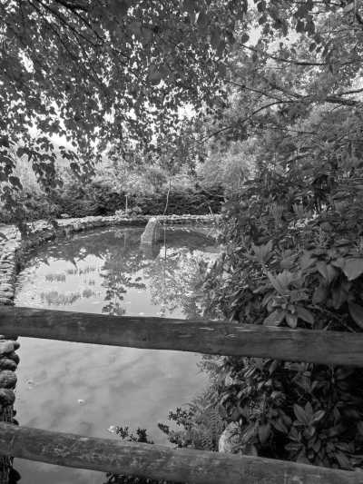 Portugal - Vila Real - Explore the Hidden wonders of the North of Portugal with a Local - 5