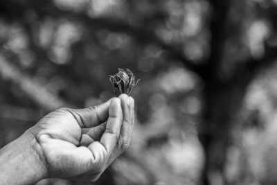 Tanzania - Spice Farm - 8-Day Tanzania Getaway: Explore the Best of Wildlife and Nature - 1